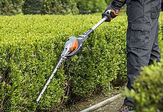 hedging left final