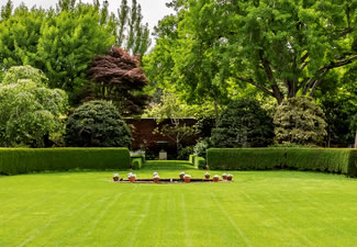 large lawn