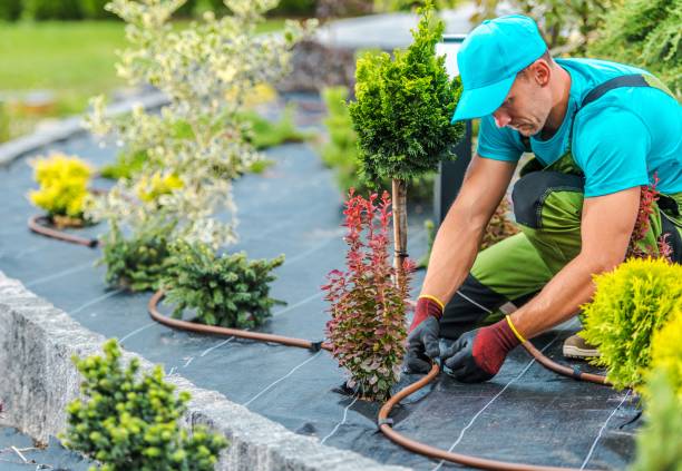 landscapers